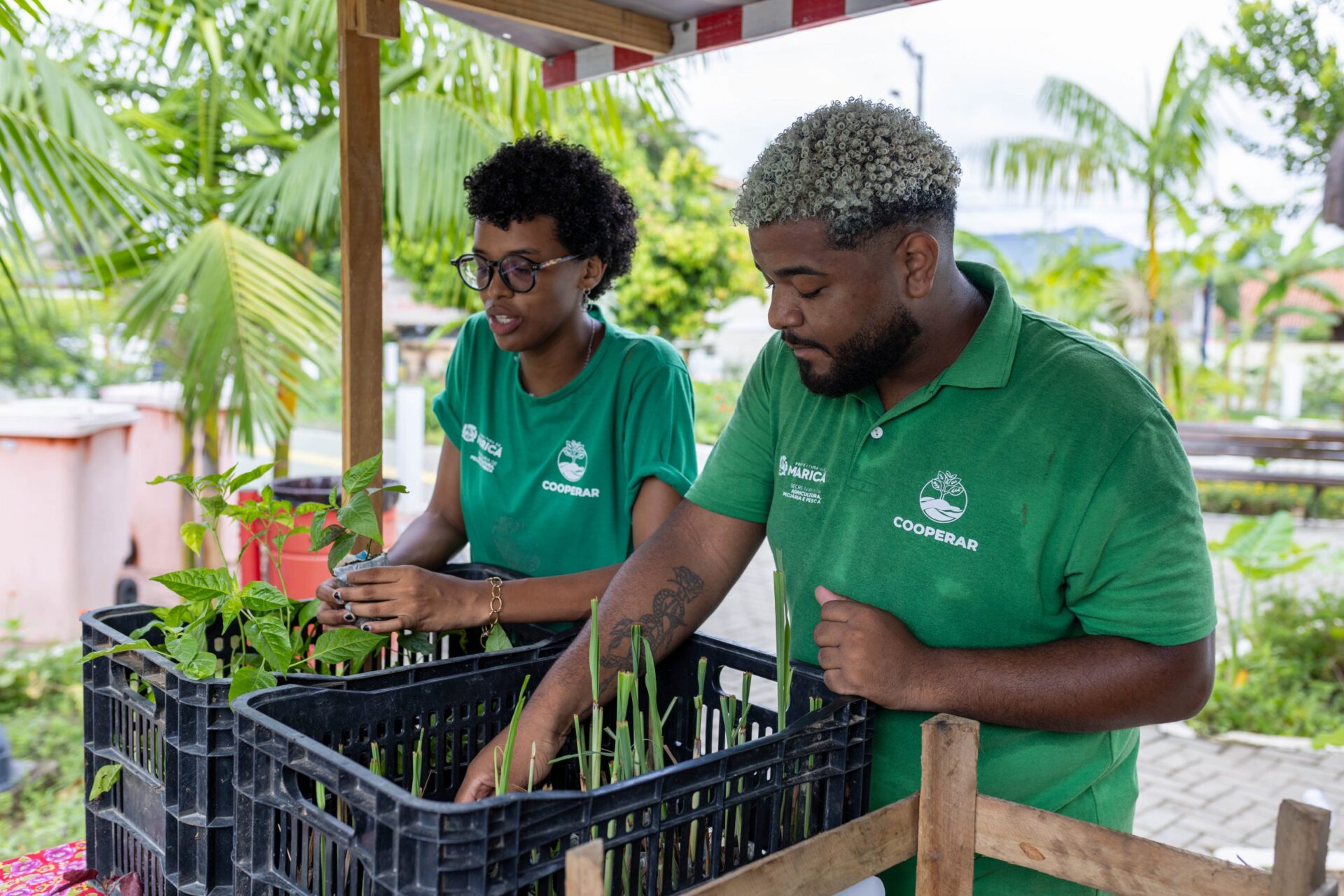 Feira Agroecológica ensina compostagem neste sábado (06/04)