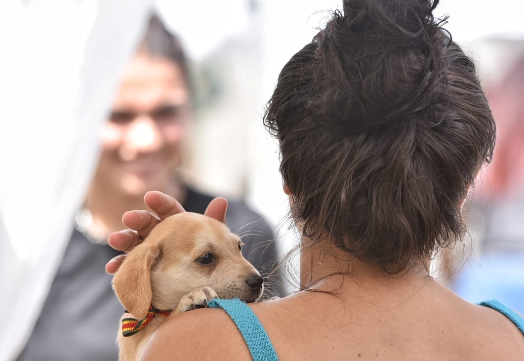 Prefeitura promove campanha de adoção de cães e gatos em Itaipuaçu