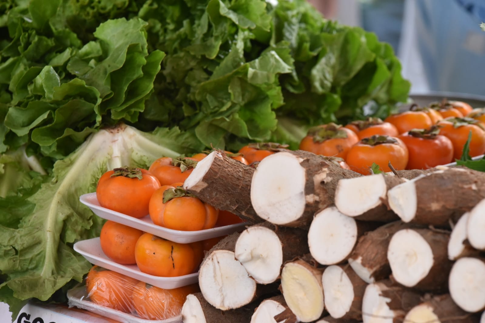 Feira de Agricultura Familiar acontece neste sábado (22/06) em Itaipuaçu