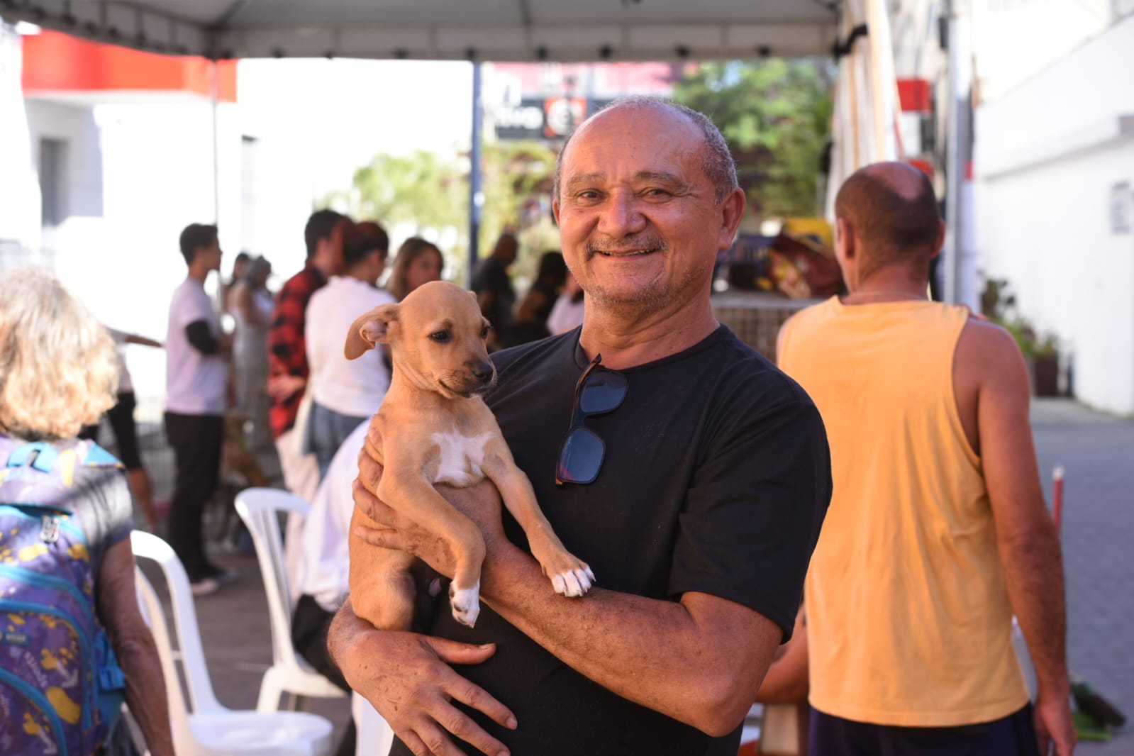 Proteção Animal consegue lar para 17 animais