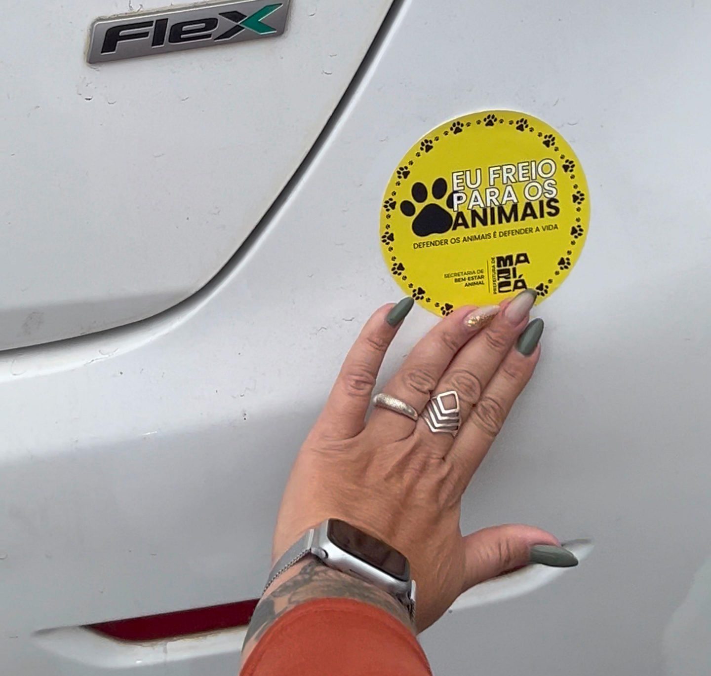 Prefeitura de Maricá realiza ação do Maio Amarelo com foco na proteção animal
