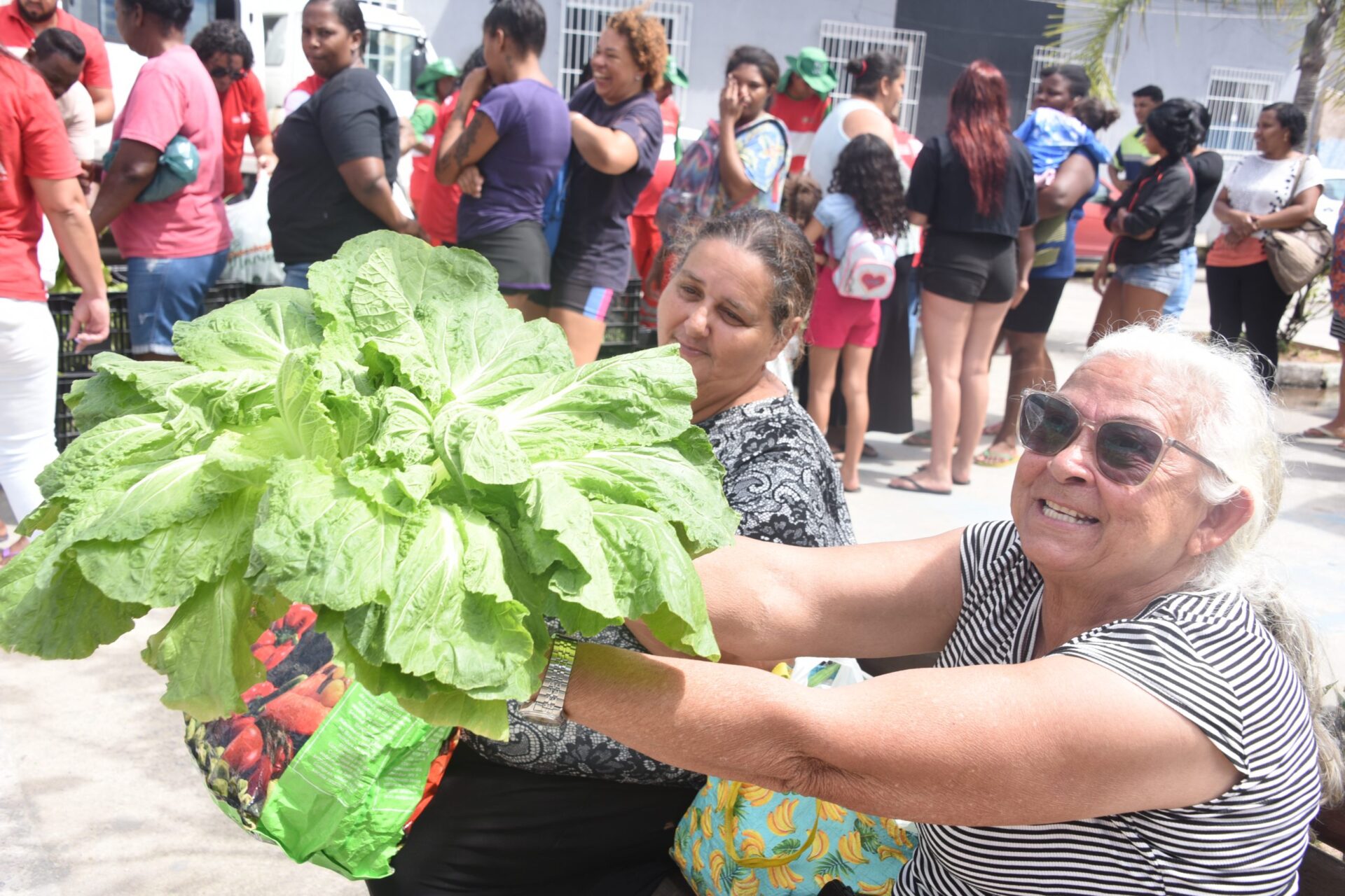 Prefeitura de Maricá distribui hortaliças frescas e sem agrotóxicos em comunidade do município