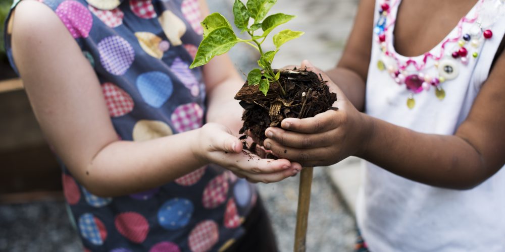 Educação ambiental: como ensinar crianças a cuidarem do planeta desde cedo