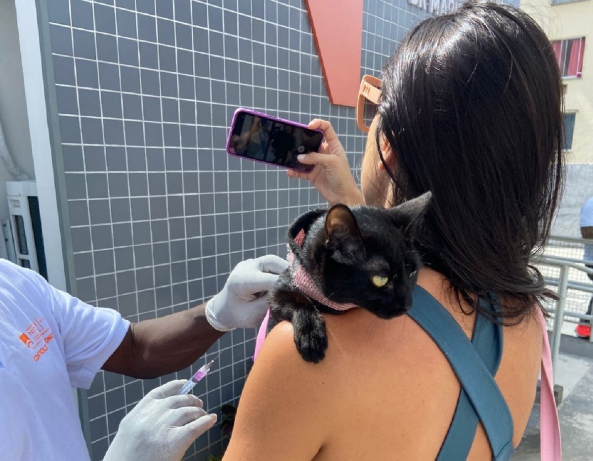 Segunda etapa da vacinação antirrábica acontece neste sábado (11) em Niterói