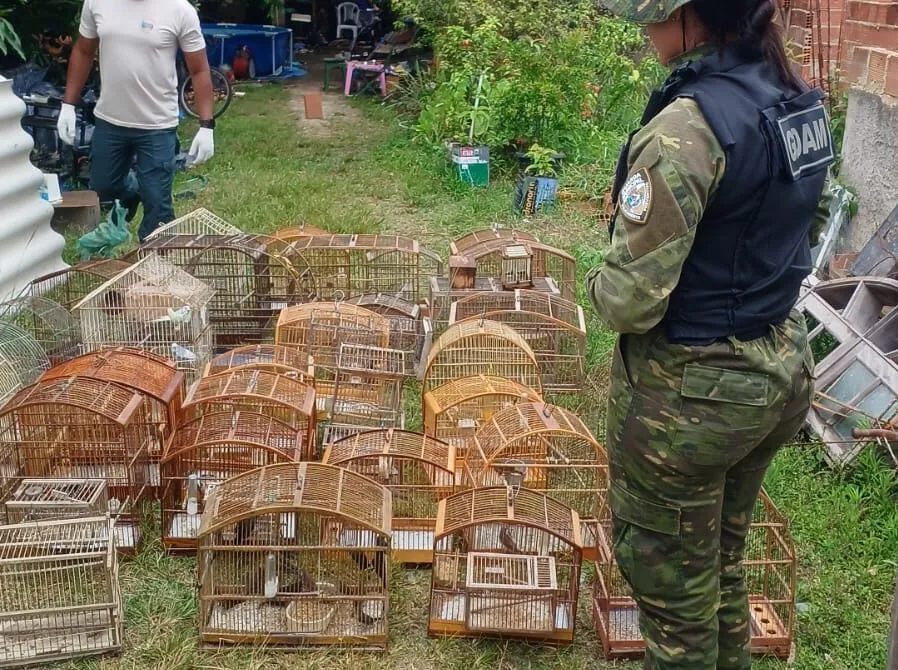 Operação em Itaipuaçu resgata 36 aves silvestres mantidas em cativeiro irregular