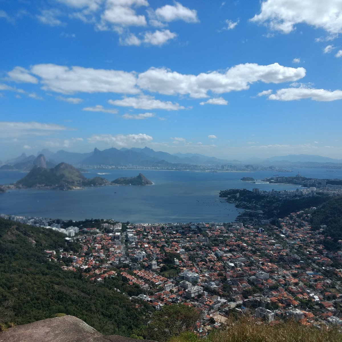 Reflorestamento no Morro Santo Inácio mobiliza 600 mudas e voluntários em Niterói