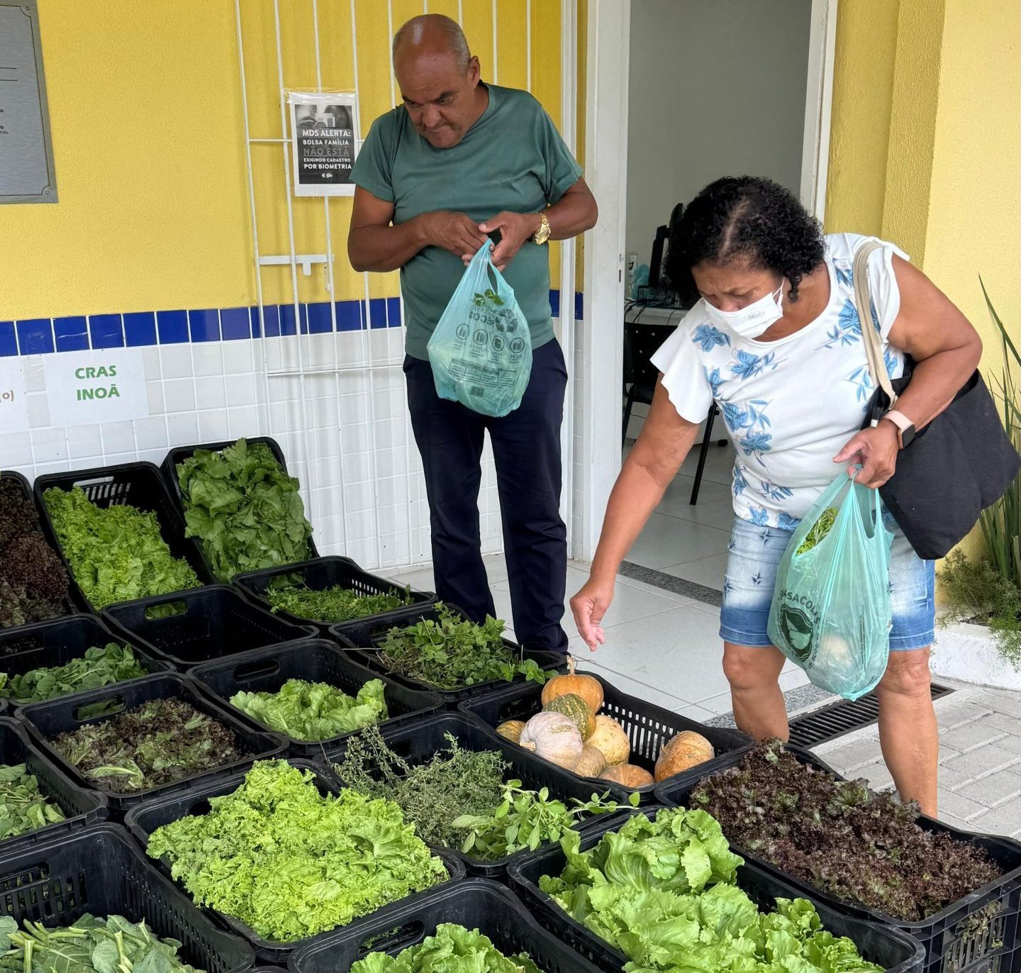 Cesta Verde garante alimentos frescos a famílias em situação de vulnerabilidade em Maricá