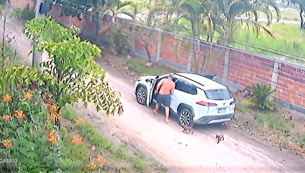 Filhotes de cachorro são abandonados em rua de Maricá e resgatados pela Prefeitura