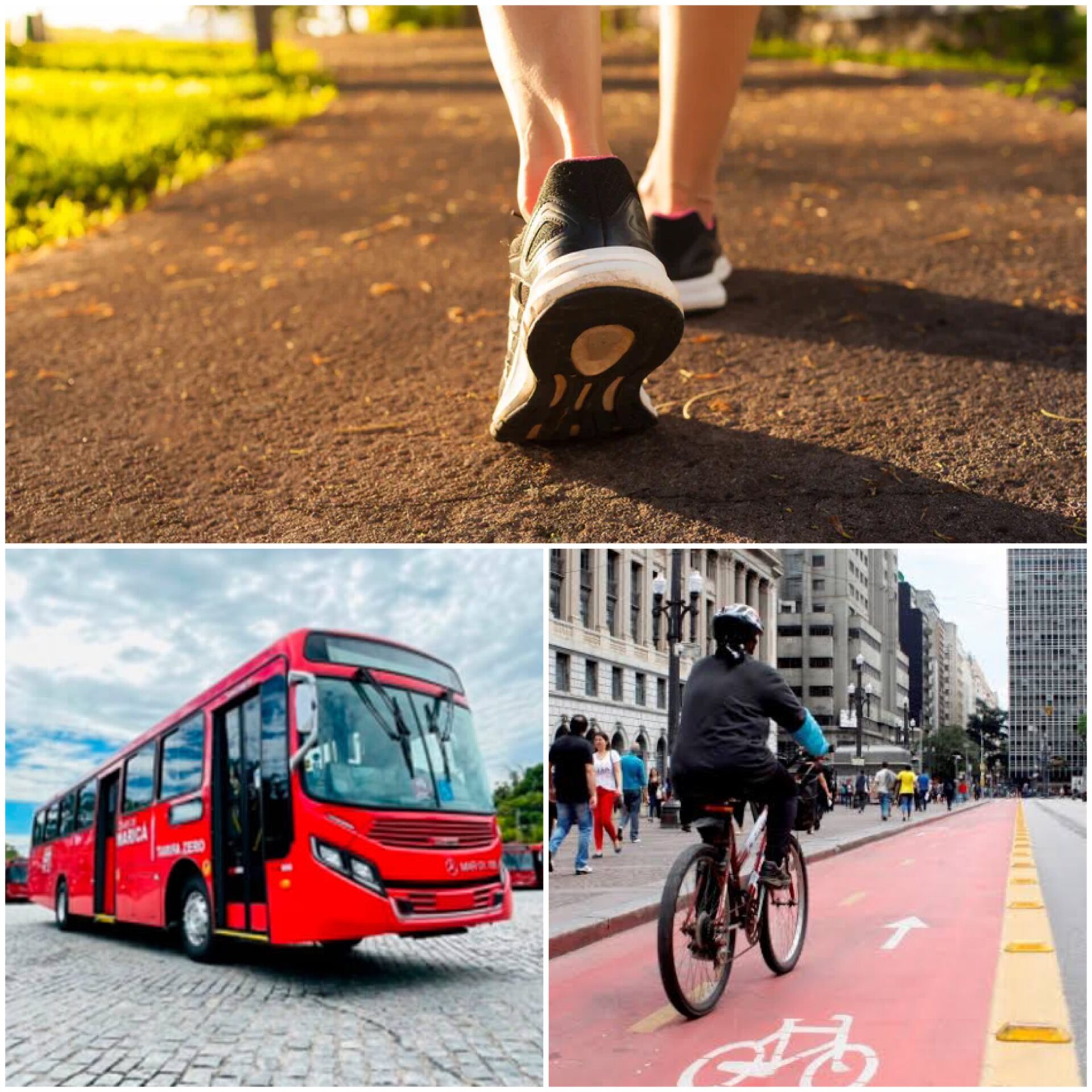 Caminhar, pedalar e compartilhar: hábitos que fazem bem ao ecossistema