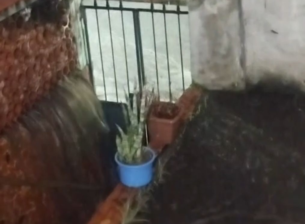 Moradores da Covanca, em São Gonçalo, cobram solução para casas interditadas há 16 anos