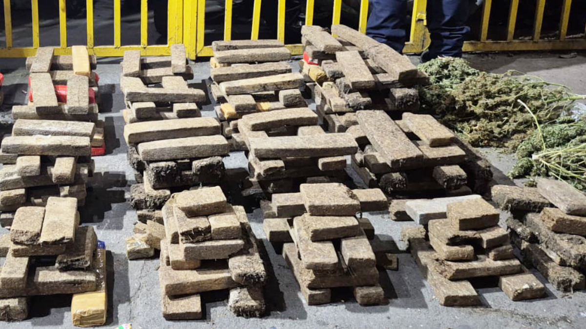 Traficantes de Minas Gerais são presos em São Gonçalo com estufa e 200 kg de maconha