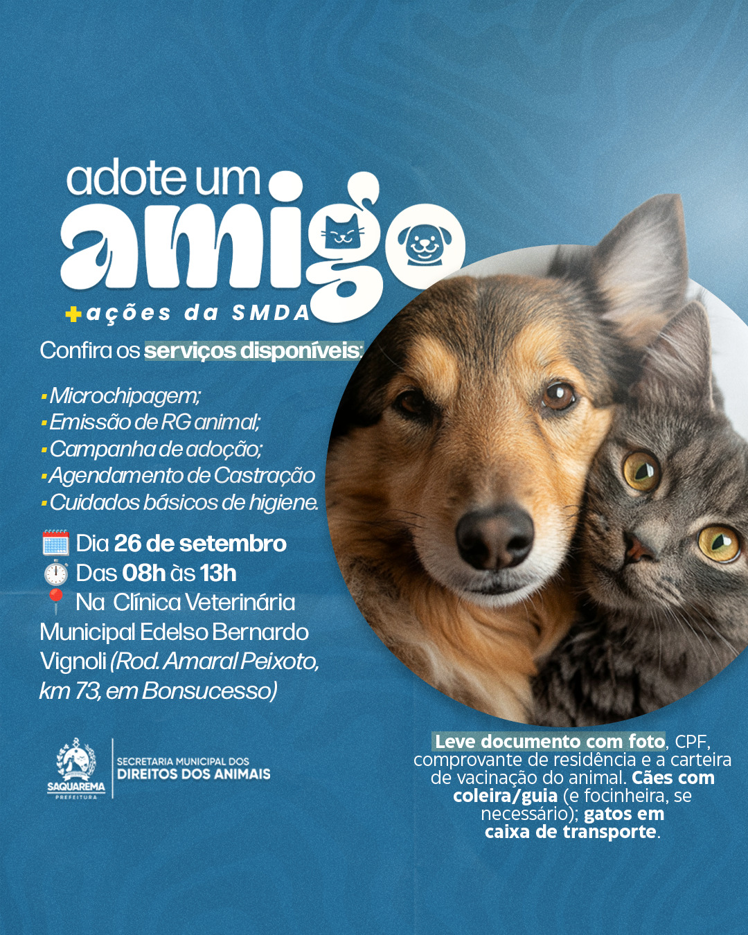 Saquarema promove ação “Adote um Amigo” com serviços gratuitos para cães e gatos