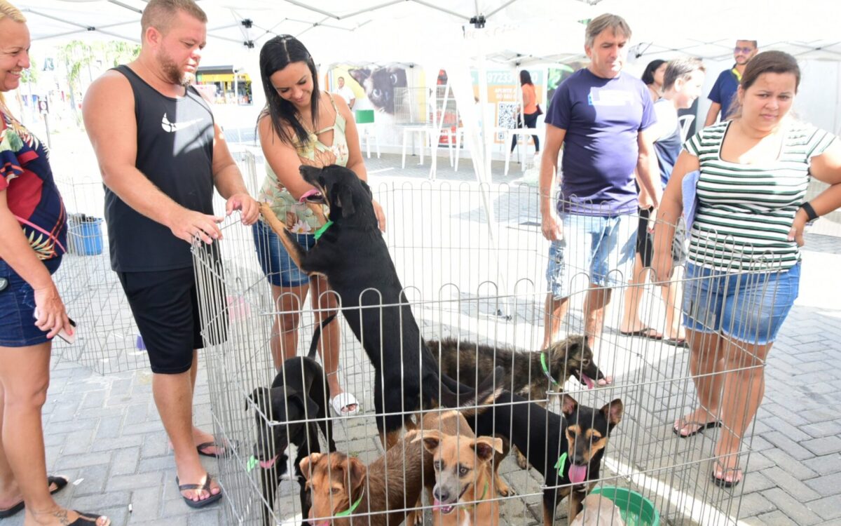 Primeira campanha de adoção de pets do ano acontece no Centro