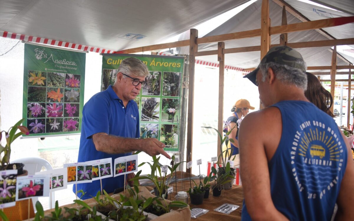 Feira de Agricultura Familiar acontece neste sábado (06/09) em Araçatiba