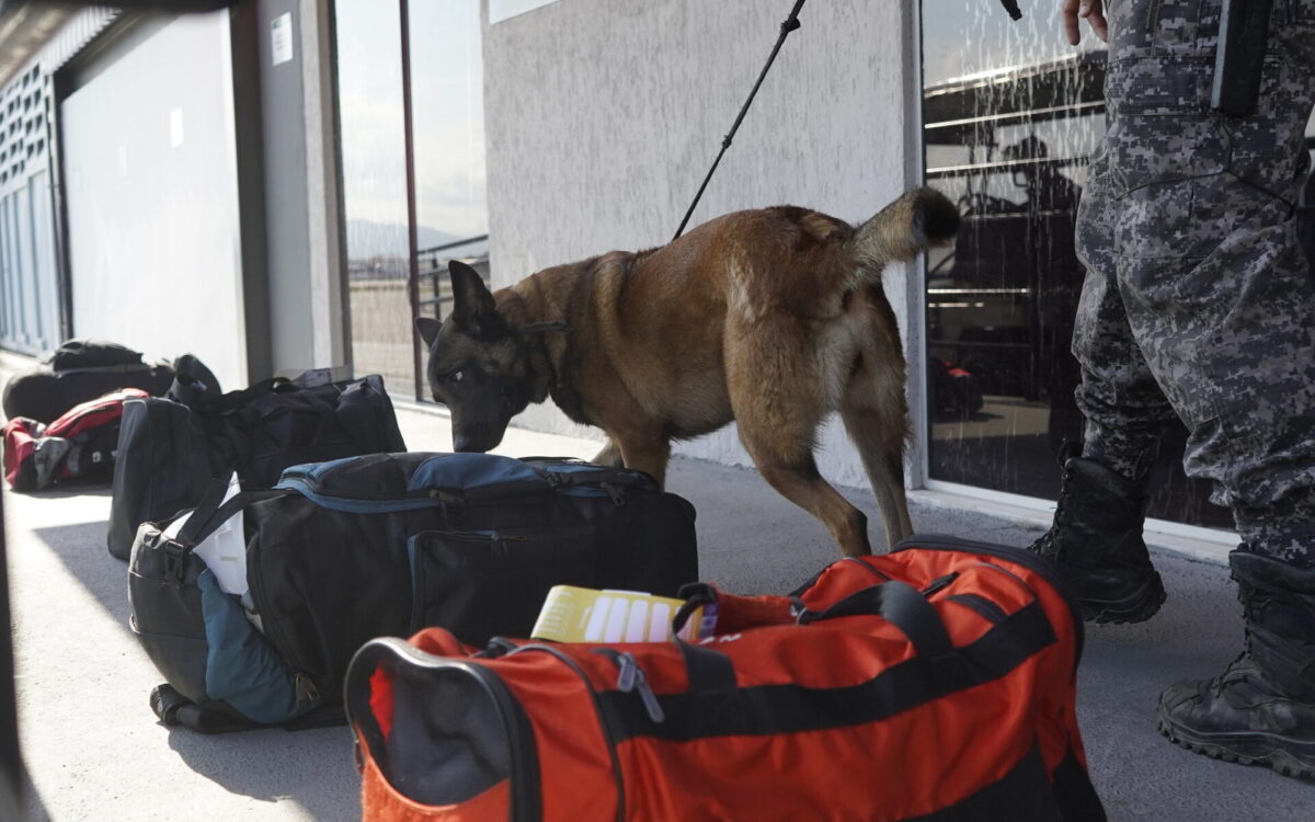 Prefeitura reforça segurança do Aeroporto de Maricá com cães farejadores