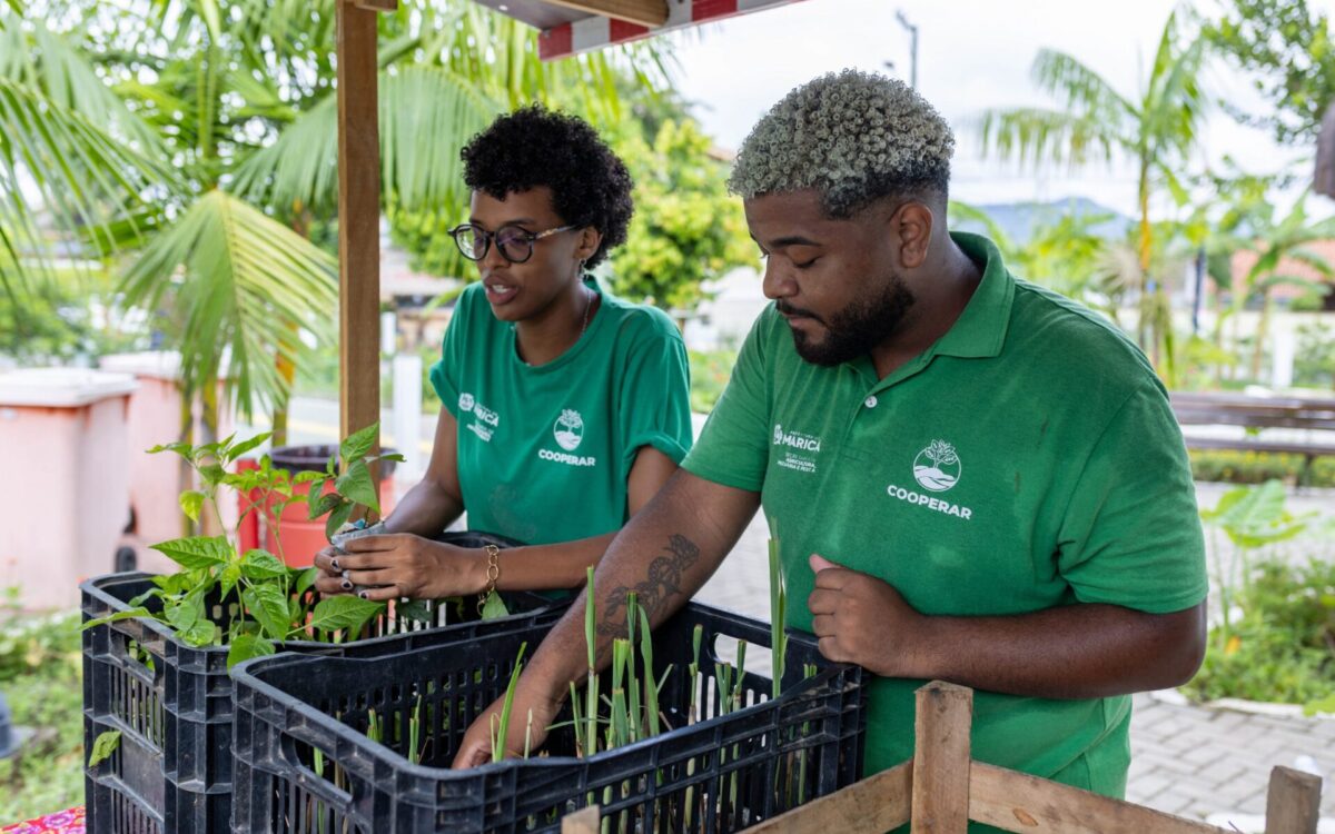 Feira Agroecológica ensina compostagem neste sábado (06/04)