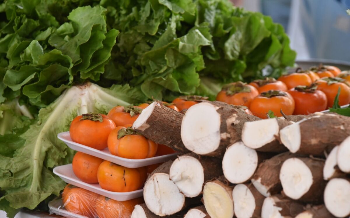 Feira de Agricultura Familiar acontece neste sábado (22/06) em Itaipuaçu