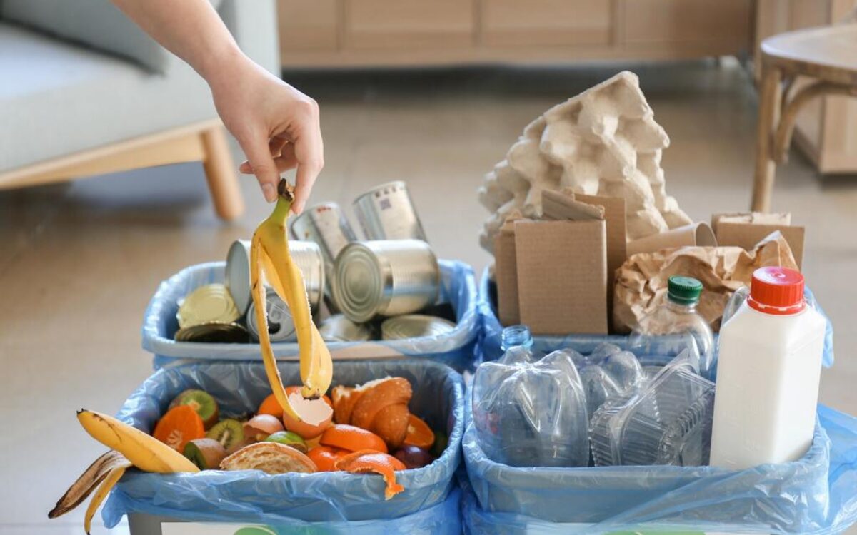 Separar o lixo para reciclagem é um hábito ecológico que começa dentro de casa