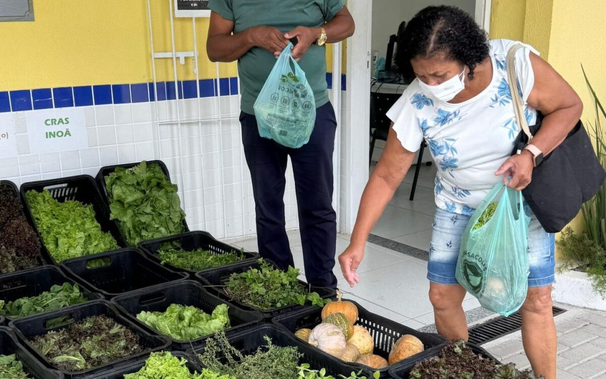 Cesta Verde garante alimentos frescos a famílias em situação de vulnerabilidade em Maricá