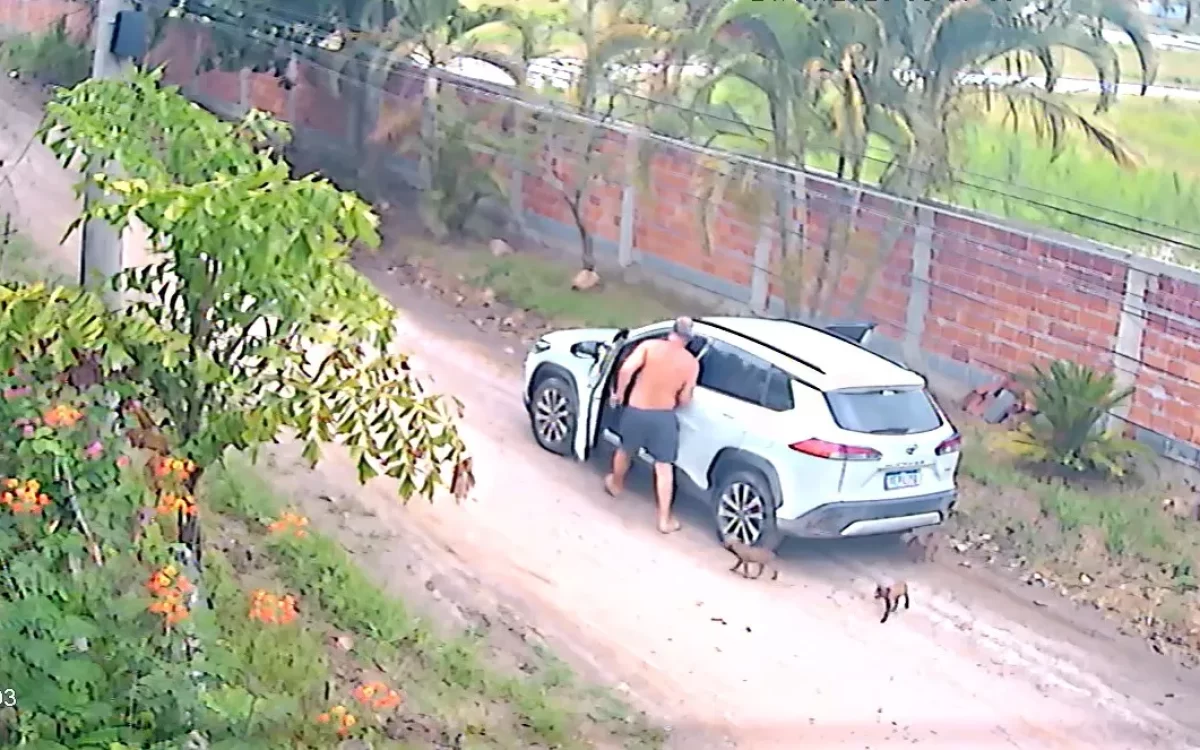 Filhotes de cachorro são abandonados em rua de Maricá e resgatados pela Prefeitura