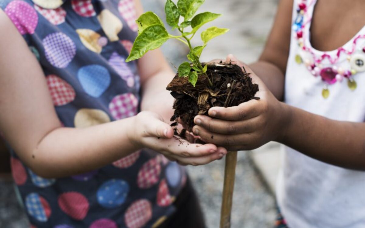 Educação ambiental: como ensinar crianças a cuidarem do planeta desde cedo