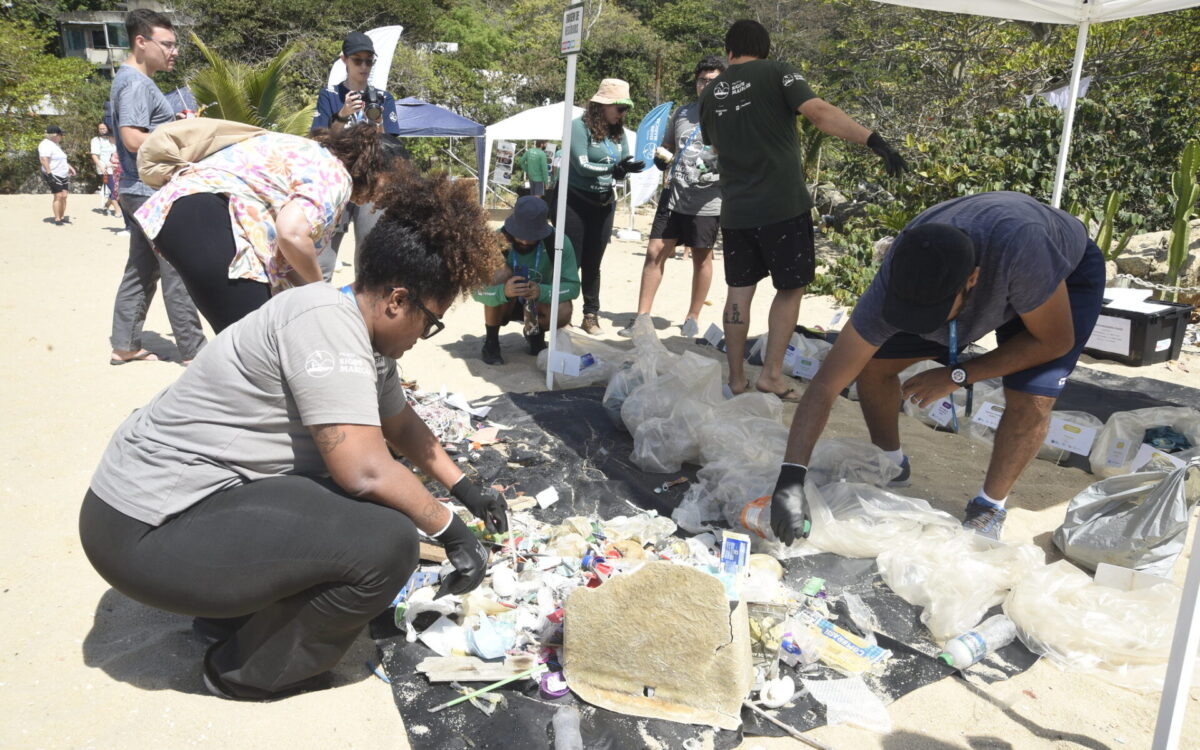 Mutirão de limpeza recolhe resíduos e distribui 70 mudas de plantas na Praia do Recanto, em Itaipuaçu