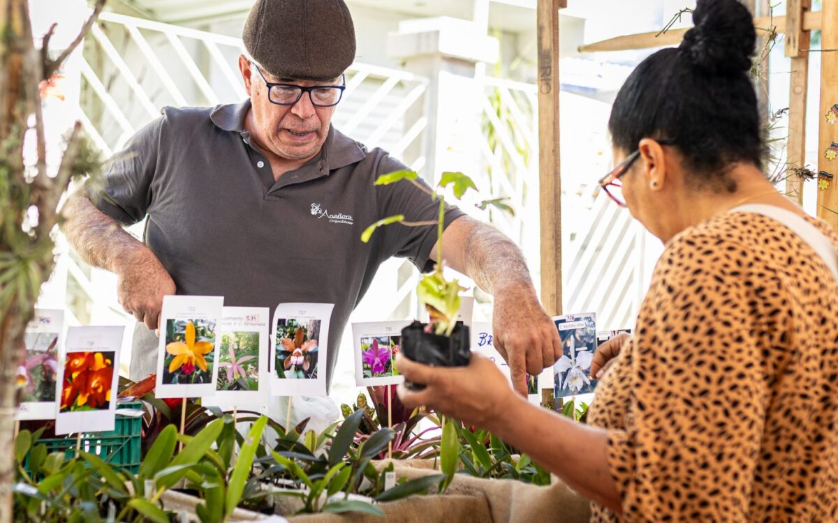 Maricá promove Feira de Agricultura Familiar neste sábado (08/11), no Barroco, em Itaipuaçu