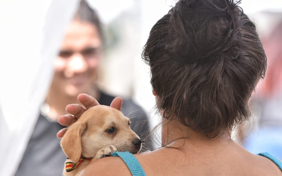 Prefeitura promove campanha de adoção de cães e gatos em Itaipuaçu