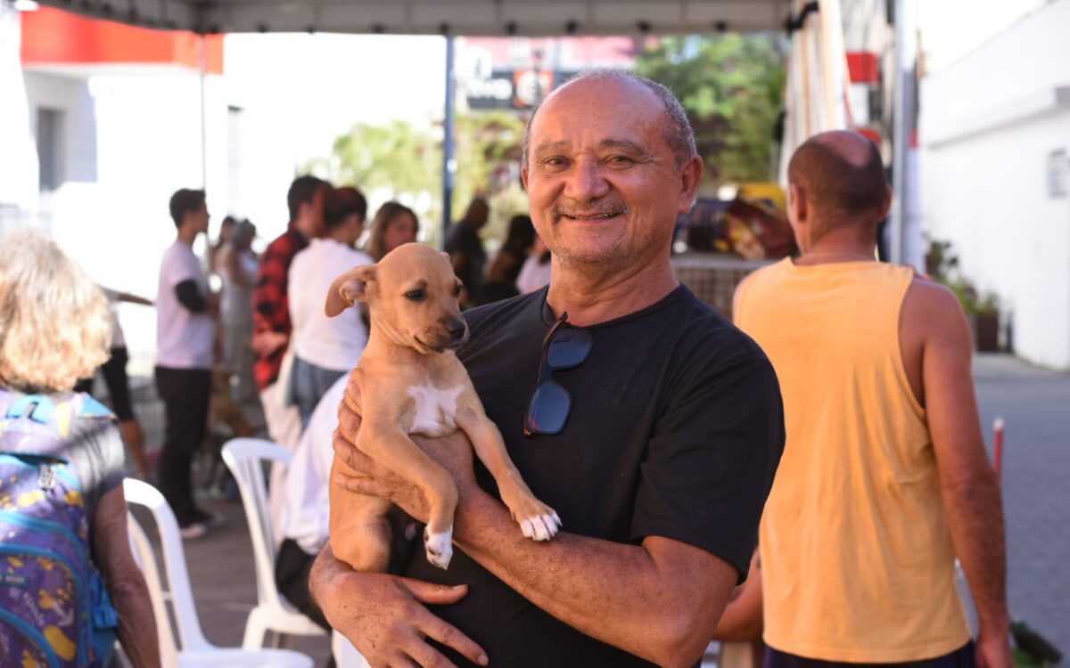 Proteção Animal consegue lar para 17 animais