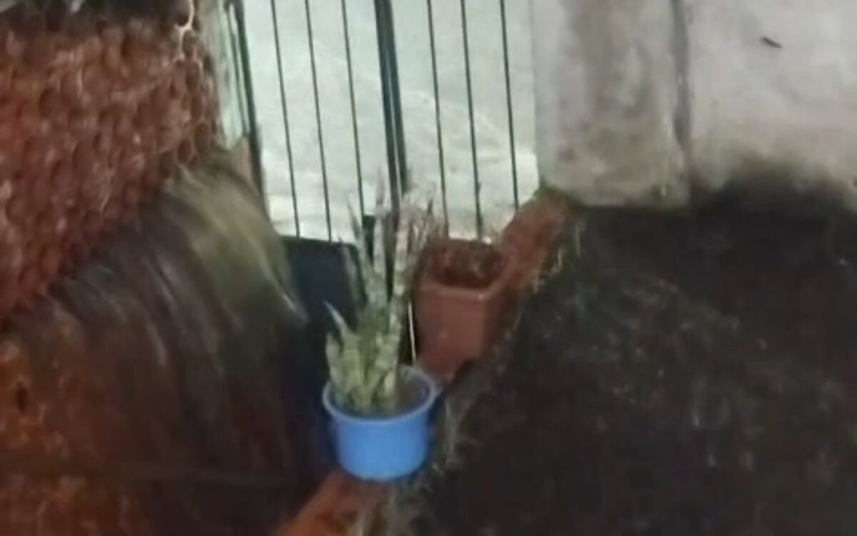 Moradores da Covanca, em São Gonçalo, cobram solução para casas interditadas há 16 anos